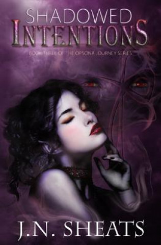 Knjiga Shadowed Intentions J N Sheats