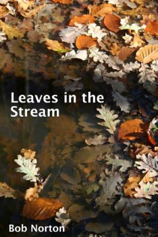 Kniha Leaves in the Stream Bob Norton