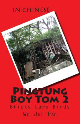 Książka Pingtung Boy Tom 2: Bricks Lure Birds Wu Jui Pao