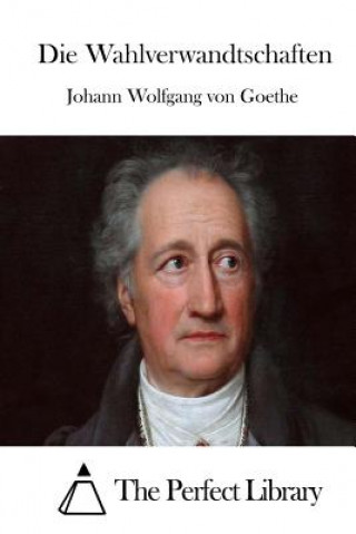 Livre Die Wahlverwandtschaften Johann Wolfgang von Goethe