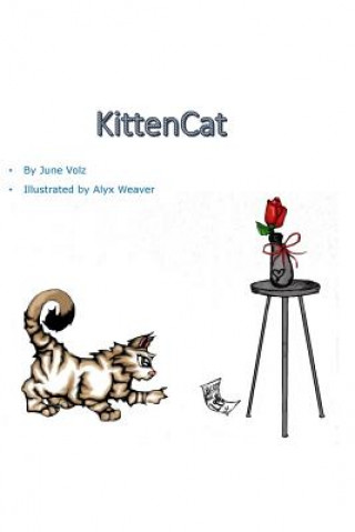 Boek KittenCat June Volz