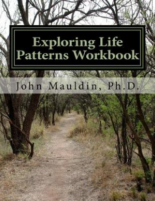 Knjiga Exploring Life Patterns Workbook John Mauldin Ph D