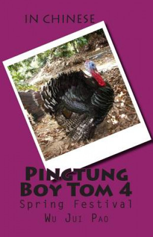 Könyv Pingtung Boy Tom 4: Spring Festival Wu Jui Pao