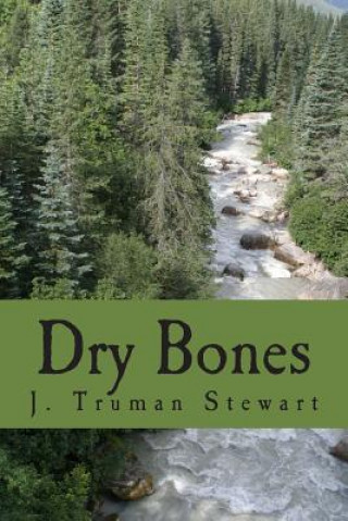 Kniha Dry Bones J Truman Stewart