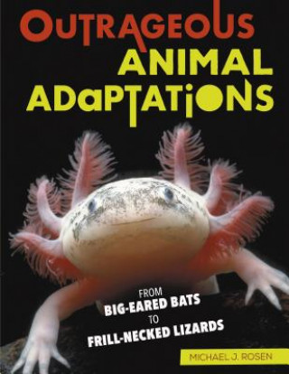 Könyv Outrageous Animal Adaptations: From Big-Eared Bats to Frill-Necked Lizards Michael Rosen
