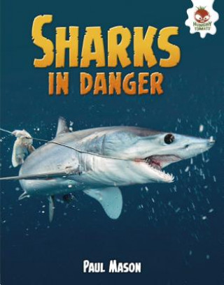 Kniha Sharks in Danger Paul Mason