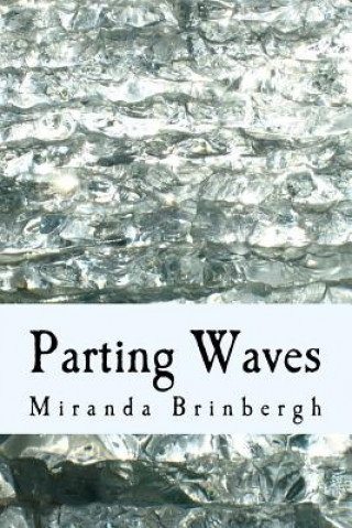 Buch Parting Waves Miranda Brinbergh