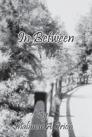 Book In Between Shalimar a Orion
