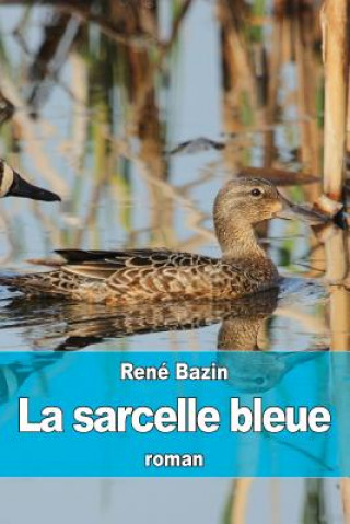 Carte La sarcelle bleue Rene Bazin