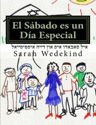 Buch El Sabado es un Dia Especial Sarah Wedekind