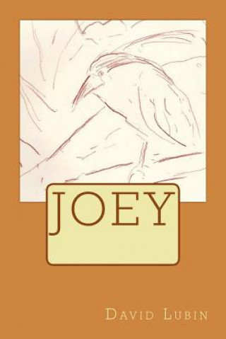 Knjiga Joey David Lubin