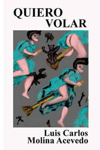 Libro Quiero Volar Luis Carlos Molina Acevedo