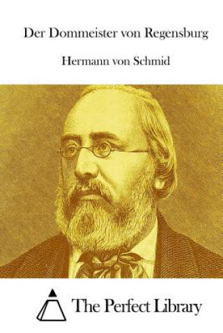 Livre Der Dommeister von Regensburg Hermann Von Schmid