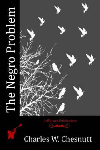 Knjiga The Negro Problem Charles W Chesnutt