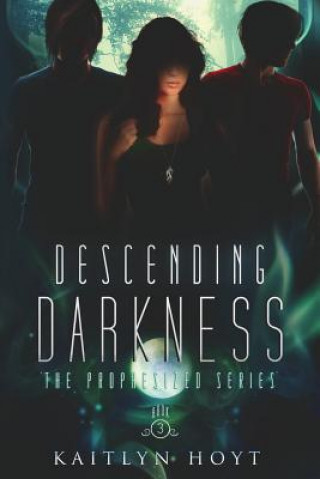 Buch Descending Darkness Kaitlyn Hoyt