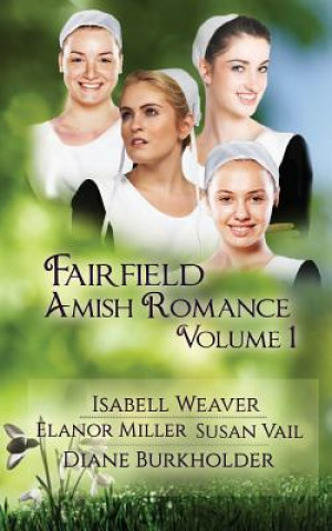 Kniha Fairfield Amish Romance Boxed Set Diane Burkholder