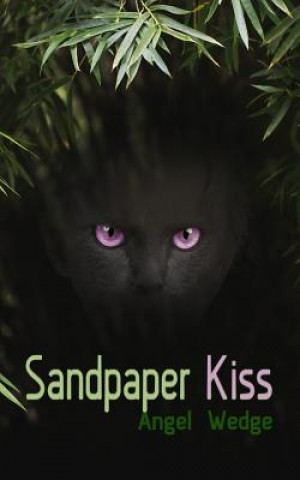 Könyv Sandpaper Kiss Angel Wedge