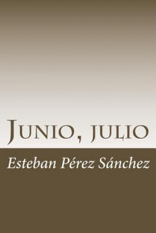 Könyv Junio, julio Esteban Perez Sanchez