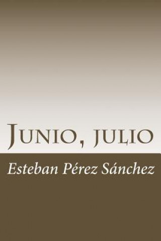 Książka Junio, julio Esteban Perez Sanchez