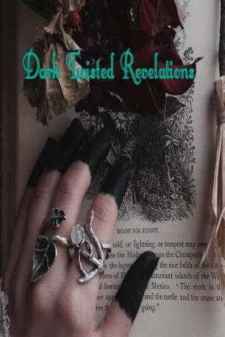 Книга Dark Twisted Revelations C L Lee