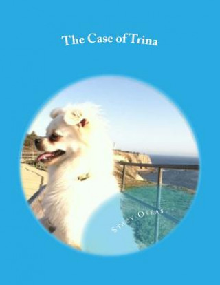 Knjiga The Case of Trina: Why Adoption Matters Stacy Oseas