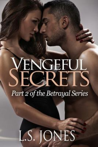 Knjiga Vengeful Secrets L S Jones