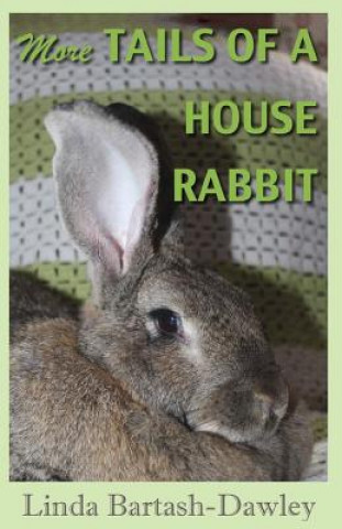 Carte More Tails of a House Rabbit Linda Bartash-Dawley