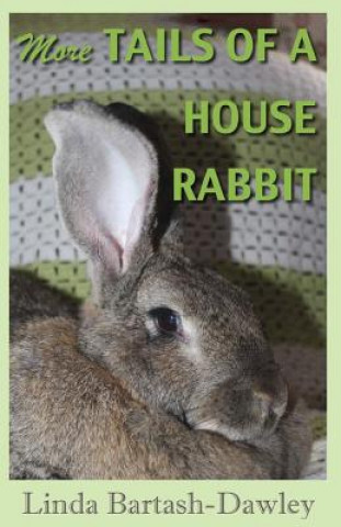 Kniha More Tails of a House Rabbit Linda Bartash-Dawley