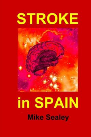 Knjiga Stroke in Spain Mike Sealey