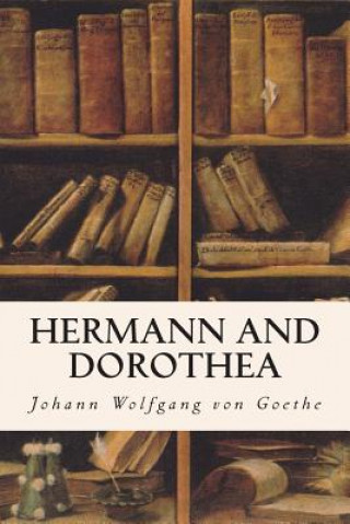 Buch Hermann and Dorothea Johann Wolfgang Von Goethe