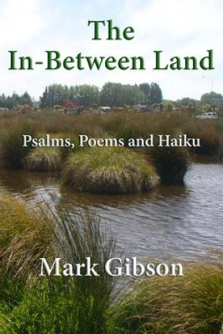 Könyv In-Between Land Mark Gibson