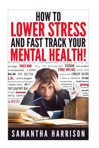 Könyv How to Lower Stress: and Fast Track Your Mental Health Samantha Harrison