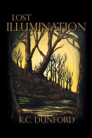 Knjiga Lost Illumination K C Dunford