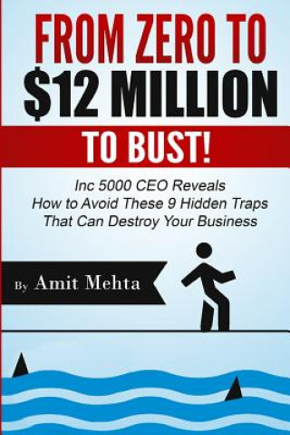 Kniha From Zero to $12 Million to Bust!: Inc 5000 CEO Reveals How to Avoid These 9 Hidden Traps that can Destroy Your Business Amit Mehta