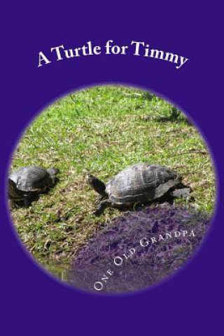 Libro A Turtle for Timmy One Old Grandpa