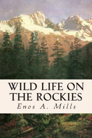 Książka Wild Life on the Rockies Enos A Mills