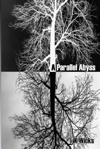 Knjiga A Parallel Abyss K L Wicks