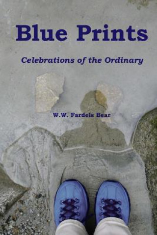 Książka Blue Prints: Celebrations of the Ordinary W W Fardels Bear