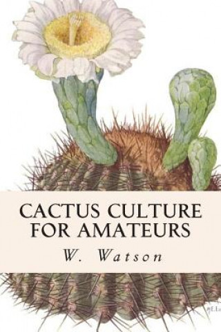 Carte Cactus Culture For Amateurs W Watson