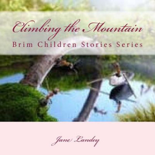 Książka Climbing the Mountain: Brim Children Stories Series Jane Landey