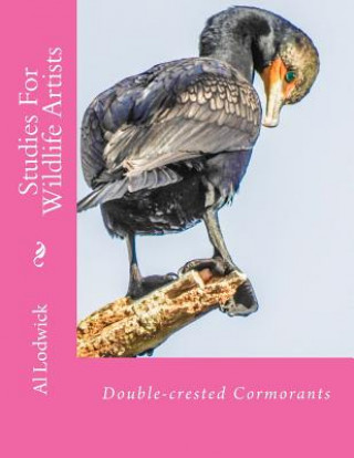 Kniha Double-crested Cormorants: Studies For Wildlife Artists Al Lodwick