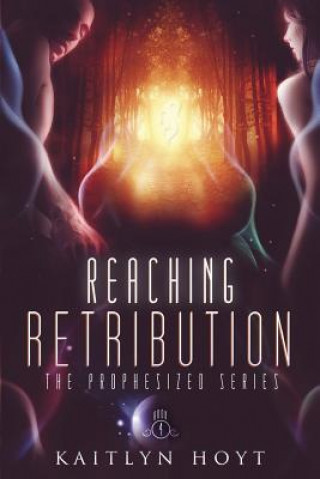 Buch Reaching Retribution Kaitlyn Hoyt