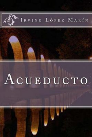 Βιβλίο Acueducto Irving Edmundo Lopez Marin