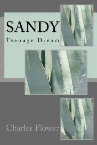 Buch Sandy: Teenage Dream MR Charles E Flower