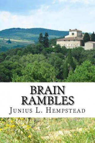 Kniha Brain Rambles Junius L Hempstead