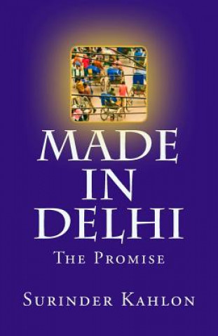 Buch Made in Delhi: The Promise MR Surinder S Kahlon