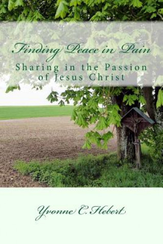 Kniha Finding Peace in Pain: The Reflections of a Christian Psychotherapist Yvonne C Hebert