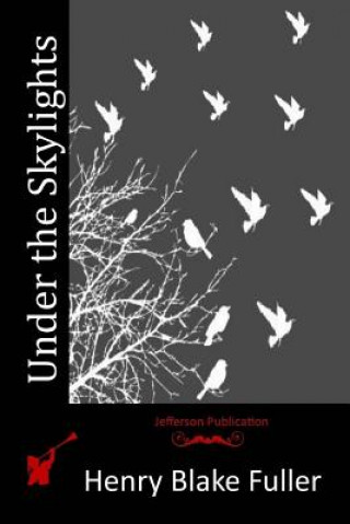 Book Under the Skylights Henry Blake Fuller