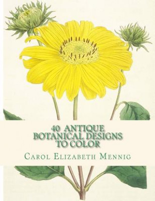 Kniha 40 Antique Botanical Designs to Color Carol Elizabeth Mennig