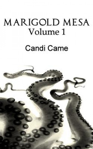 Buch Marigold Mesa: Volume 1 Candi Came
